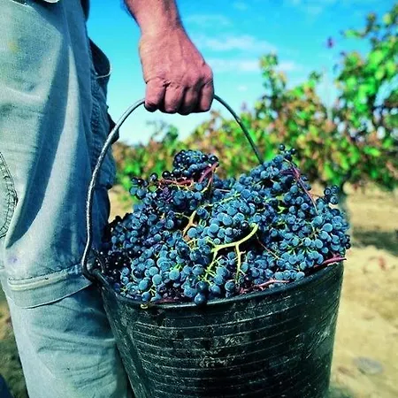 Tenuta Santa Caterina Alojamento de Acomodação e Pequeno-almoço 2*