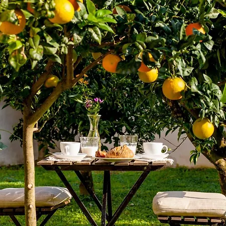 Tenuta Santa Caterina ベッド・アンド・ブレックファスト 2*