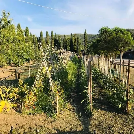Casale Caterina Agriresort Alojamento de Acomodação e Pequeno-almoço Portoferraio