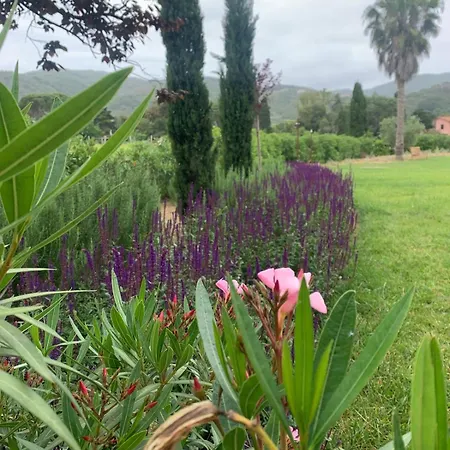 Tenuta Santa Caterina Bed & Breakfast 2*