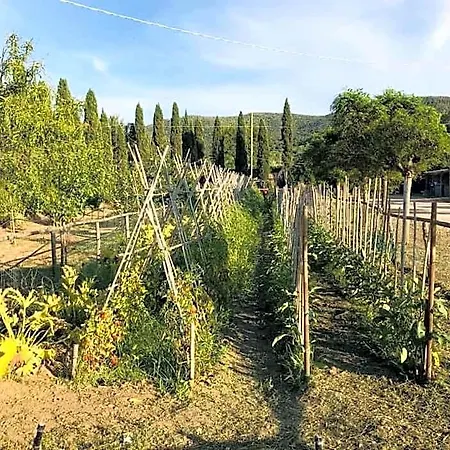 Casale Caterina Agriresort Portoferraio