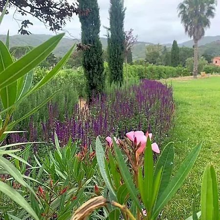 Casale Caterina Agriresort فندق مبيت وإفطار بورتوفيرّايو
