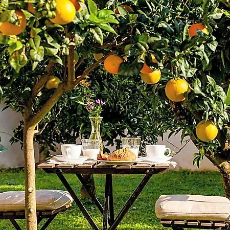 Casale Caterina Agriresort Bed and Breakfast Portoferraio