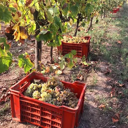 Tenuta Santa Caterina 2* Portoferraio