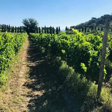 Bed and Breakfast Tenuta Santa Caterina