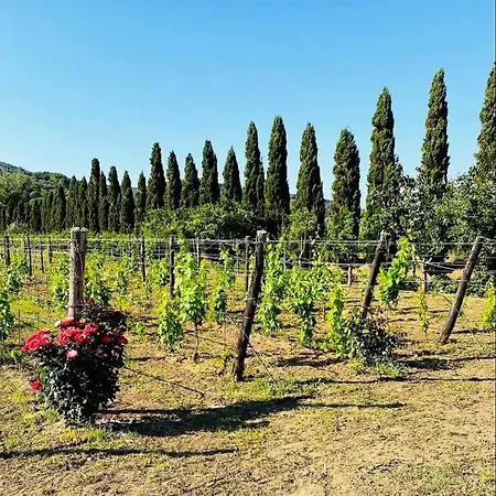 Tenuta Santa Caterina Bed and Breakfast 2*